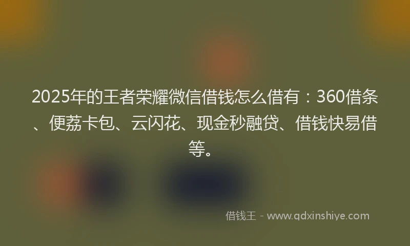 2025年的王者荣耀微信借钱怎么借有：360借条、便荔卡包、云闪花、现金秒融贷、借钱快易借等。