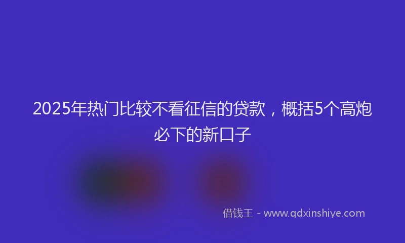 2025年热门比较不看征信的贷款，概括5个高炮必下的新口子