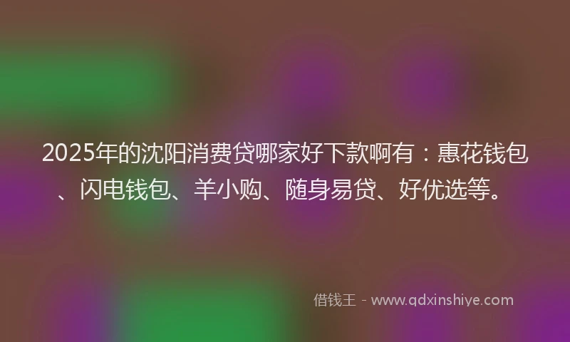 2025年的沈阳消费贷哪家好下款啊有：惠花钱包、闪电钱包、羊小购、随身易贷、好优选等。