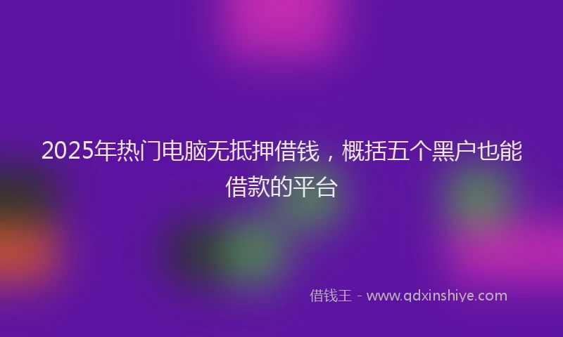 2025年热门电脑无抵押借钱，概括五个黑户也能借款的平台