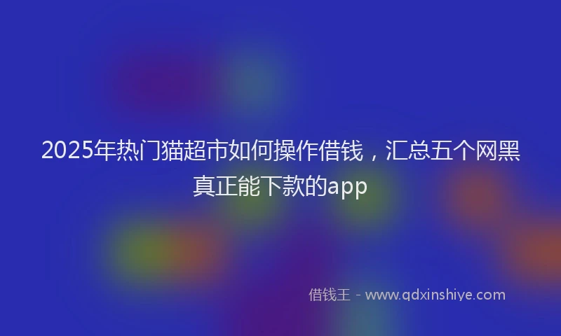 2025年热门猫超市如何操作借钱，汇总五个网黑真正能下款的app
