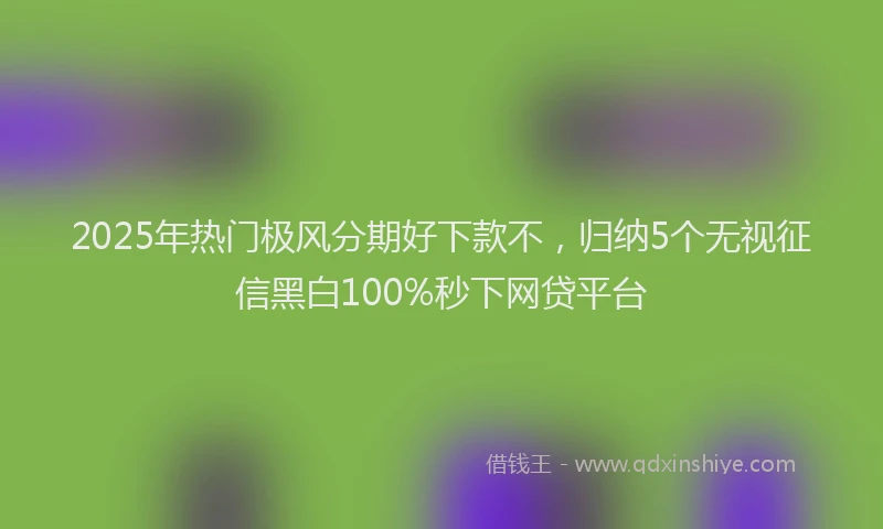 2025年热门极风分期好下款不，归纳5个无视征信黑白100%秒下网贷平台