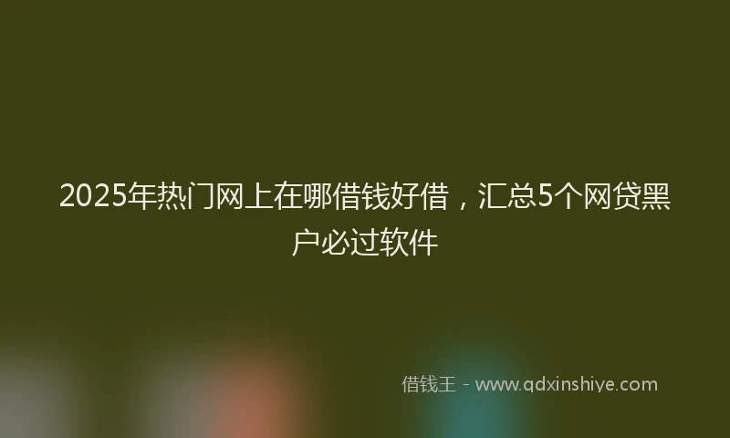 2025年热门网上在哪借钱好借，汇总5个网贷黑户必过软件