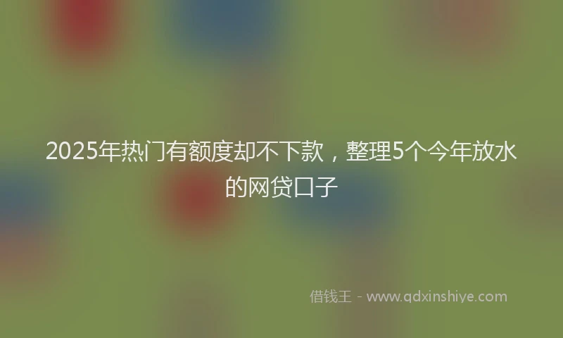 2025年热门有额度却不下款，整理5个今年放水的网贷口子