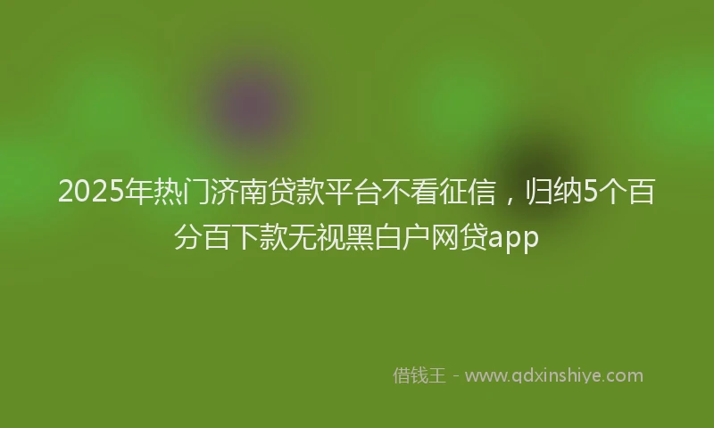 2025年热门济南贷款平台不看征信，归纳5个百分百下款无视黑白户网贷app