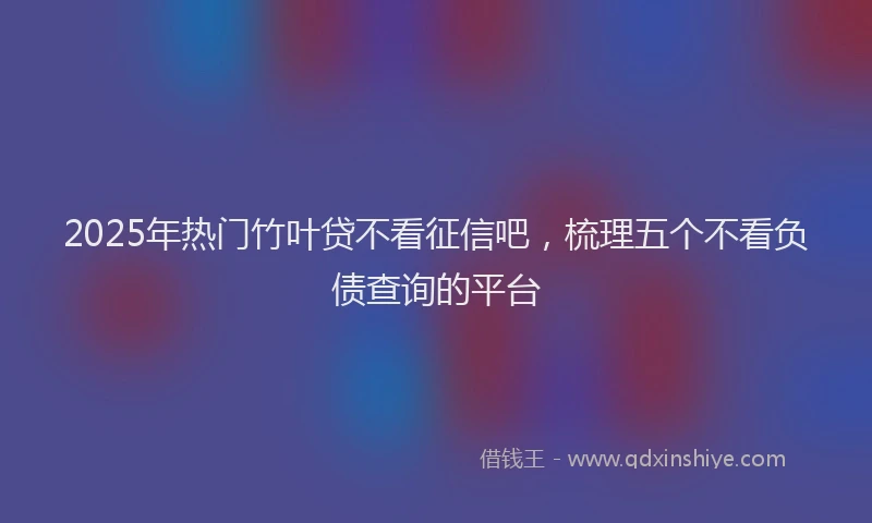 2025年热门竹叶贷不看征信吧，梳理五个不看负债查询的平台