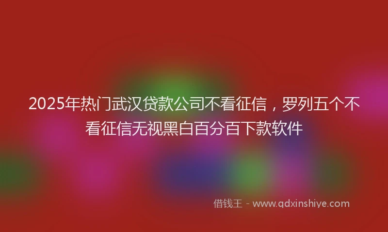 2025年热门武汉贷款公司不看征信，罗列五个不看征信无视黑白百分百下款软件