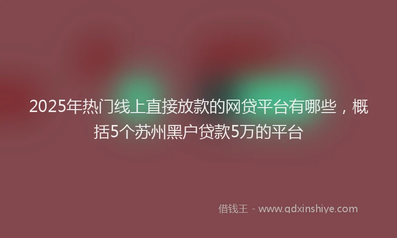 2025年热门线上直接放款的网贷平台有哪些，概括5个苏州黑户贷款5万的平台