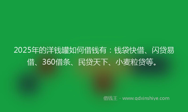 2025年的洋钱罐如何借钱有：钱袋快借、闪贷易借、360借条、民贷天下、小麦粒贷等。