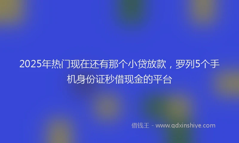 2025年热门现在还有那个小贷放款，罗列5个手机身份证秒借现金的平台