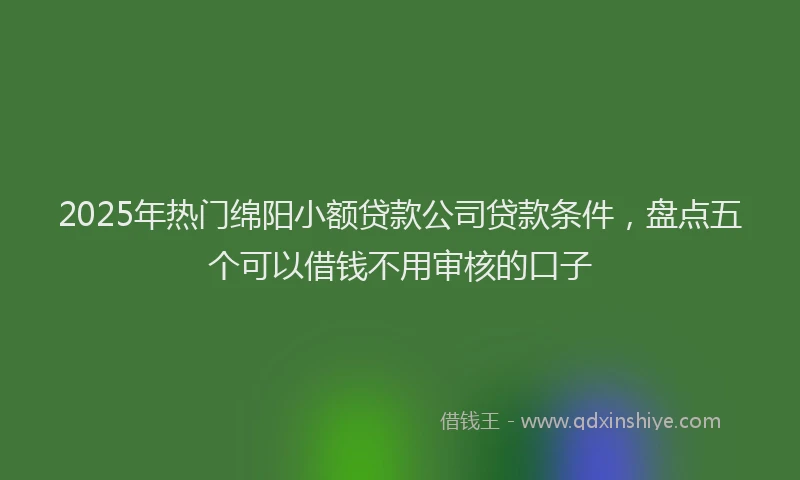 2025年热门绵阳小额贷款公司贷款条件，盘点五个可以借钱不用审核的口子