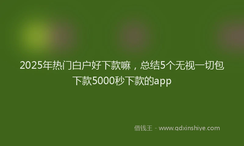 2025年热门白户好下款嘛，总结5个无视一切包下款5000秒下款的app