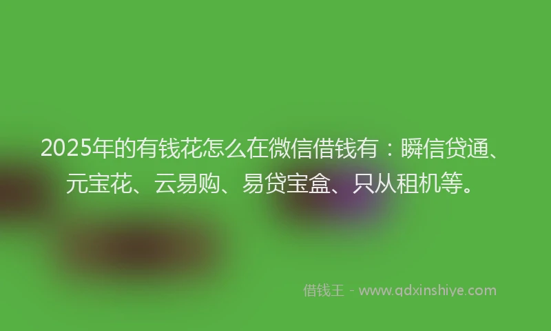 2025年的有钱花怎么在微信借钱有：瞬信贷通、元宝花、云易购、易贷宝盒、只从租机等。
