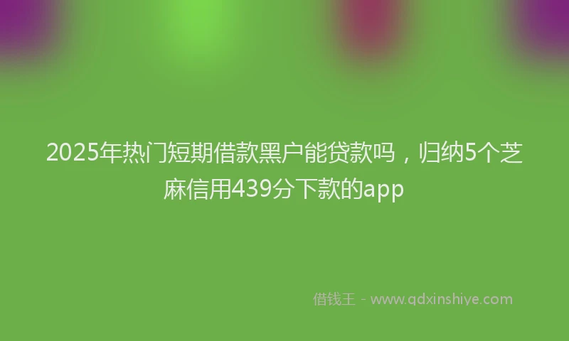 2025年热门短期借款黑户能贷款吗，归纳5个芝麻信用439分下款的app