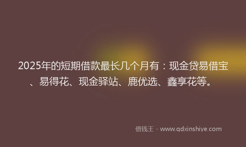 2025年的短期借款最长几个月有：现金贷易借宝、易得花、现金驿站、鹿优选、鑫享花等。