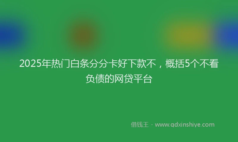 2025年热门白条分分卡好下款不，概括5个不看负债的网贷平台