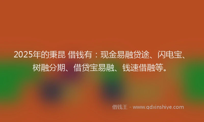 2025年的秉昆 借钱有：现金易融贷途、闪电宝、树融分期、借贷宝易融、钱速借融等。