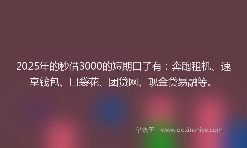 2025年的秒借3000的短期口子有：奔跑租机、速享钱包、口袋花、团贷网、现金贷易融等。