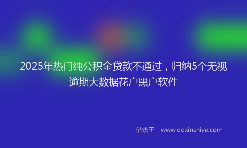 2025年热门纯公积金贷款不通过，归纳5个无视逾期大数据花户黑户软件