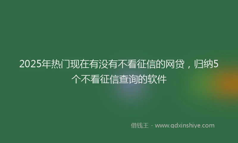 2025年热门现在有没有不看征信的网贷，归纳5个不看征信查询的软件