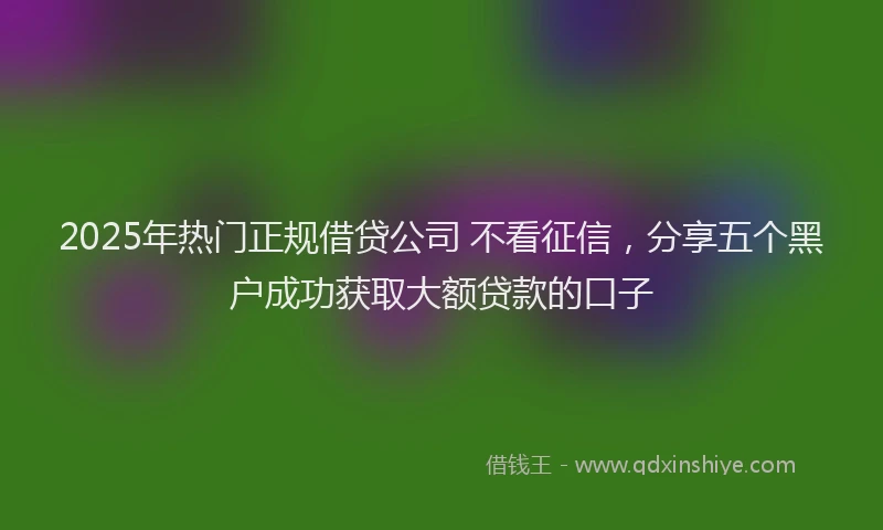 2025年热门正规借贷公司 不看征信，分享五个黑户成功获取大额贷款的口子