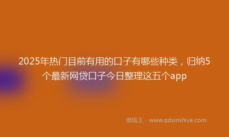 2025年热门目前有用的口子有哪些种类，归纳5个最新网贷口子今日整理这五个app