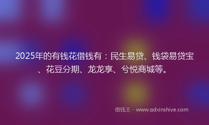 2025年的有钱花借钱有：民生易贷、钱袋易贷宝、花豆分期、龙龙享、兮悦商城等。