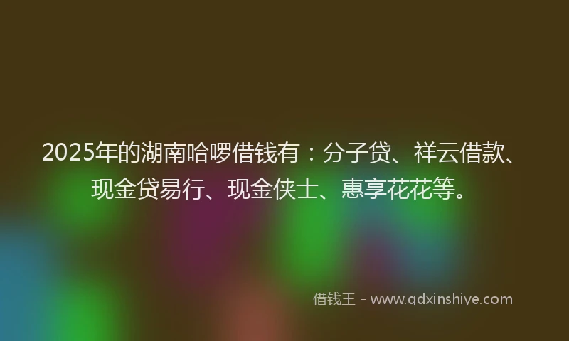 2025年的湖南哈啰借钱有：分子贷、祥云借款、现金贷易行、现金侠士、惠享花花等。