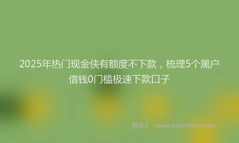 2025年热门现金侠有额度不下款，梳理5个黑户借钱0门槛极速下款口子