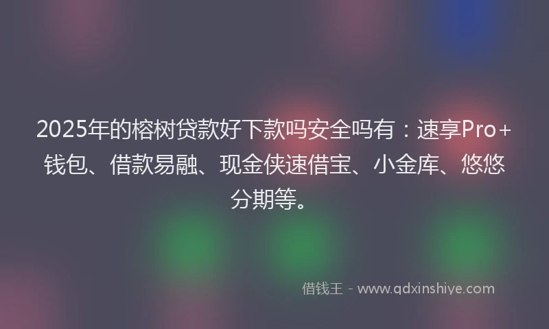 2025年的榕树贷款好下款吗安全吗有：速享Pro+钱包、借款易融、现金侠速借宝、小金库、悠悠分期等。