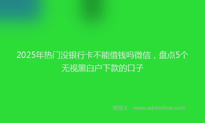 2025年热门没银行卡不能借钱吗微信，盘点5个无视黑白户下款的口子