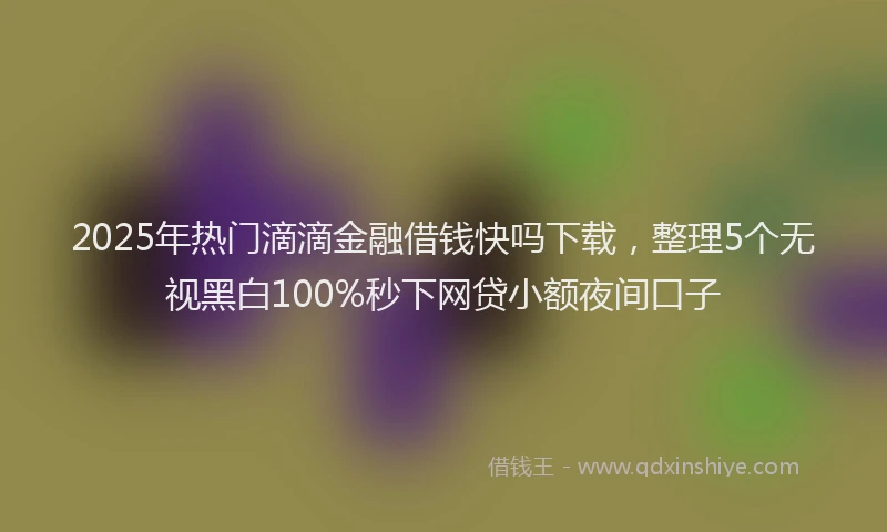 2025年热门滴滴金融借钱快吗下载，整理5个无视黑白100%秒下网贷小额夜间口子