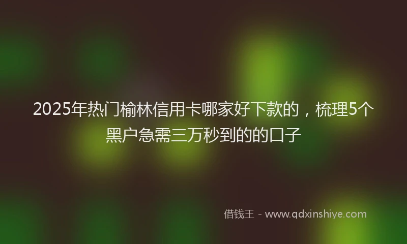2025年热门榆林信用卡哪家好下款的，梳理5个黑户急需三万秒到的的口子