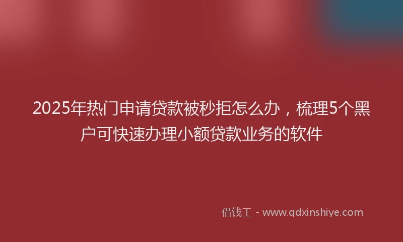 2025年热门申请贷款被秒拒怎么办，梳理5个黑户可快速办理小额贷款业务的软件