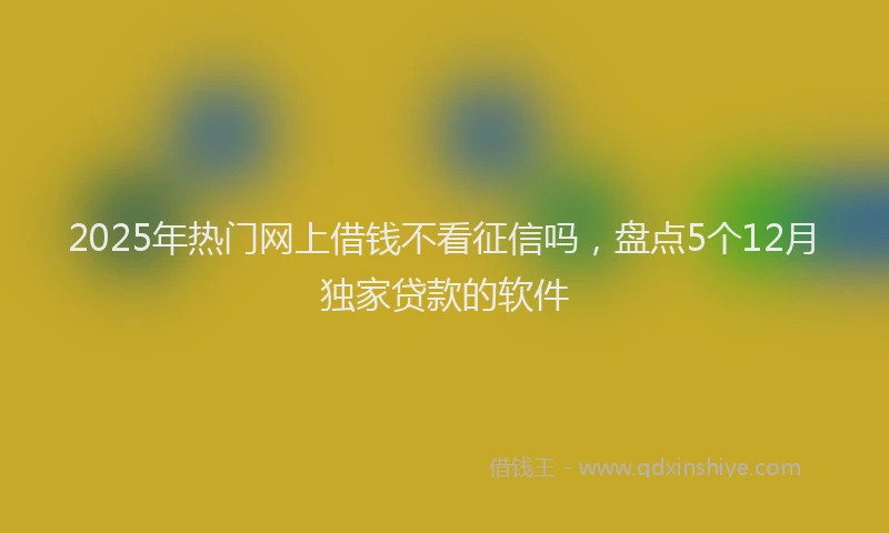 2025年热门网上借钱不看征信吗，盘点5个12月独家贷款的软件