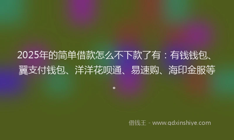 2025年的简单借款怎么不下款了有：有钱钱包、翼支付钱包、洋洋花呗通、易速购、海印金服等。