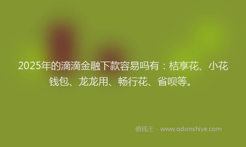 2025年的滴滴金融下款容易吗有：桔享花、小花钱包、龙龙用、畅行花、省呗等。