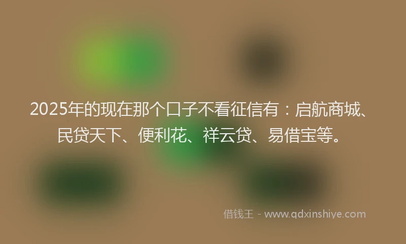2025年的现在那个口子不看征信有：启航商城、民贷天下、便利花、祥云贷、易借宝等。