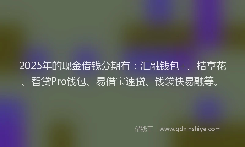 2025年的现金借钱分期有：汇融钱包+、桔享花、智贷Pro钱包、易借宝速贷、钱袋快易融等。