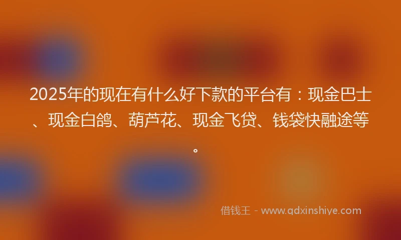 2025年的现在有什么好下款的平台有：现金巴士、现金白鸽、葫芦花、现金飞贷、钱袋快融途等。