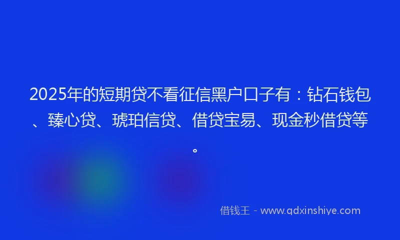 2025年的短期贷不看征信黑户口子有：钻石钱包、臻心贷、琥珀信贷、借贷宝易、现金秒借贷等。