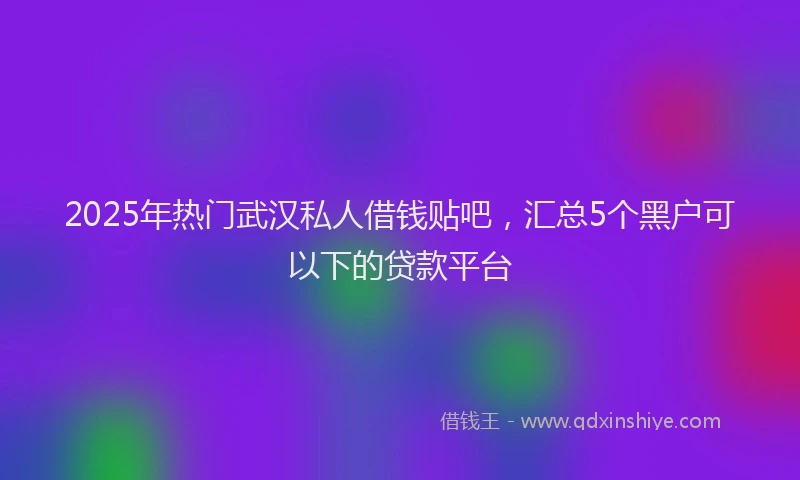 2025年热门武汉私人借钱贴吧，汇总5个黑户可以下的贷款平台