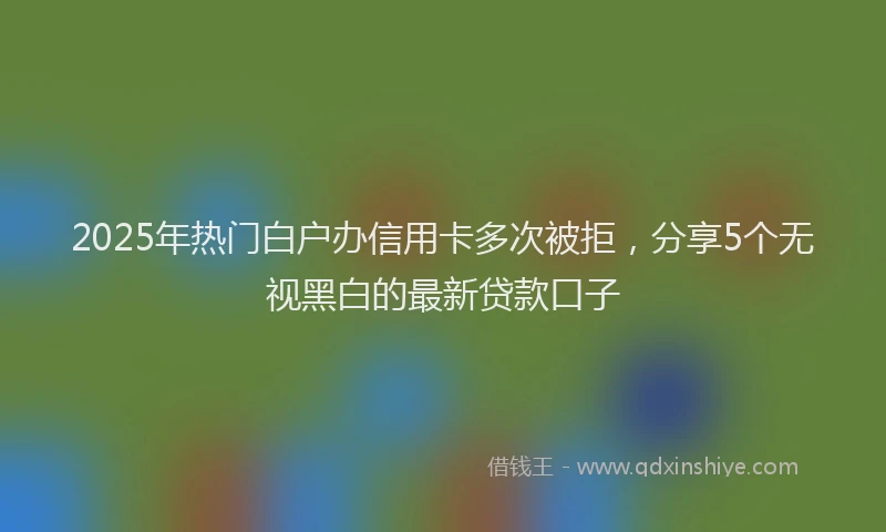 2025年热门白户办信用卡多次被拒，分享5个无视黑白的最新贷款口子
