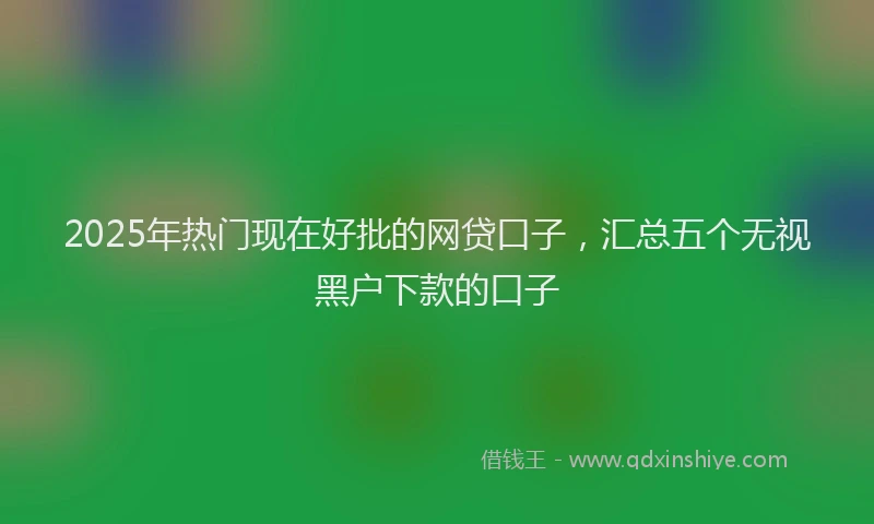 2025年热门现在好批的网贷口子，汇总五个无视黑户下款的口子