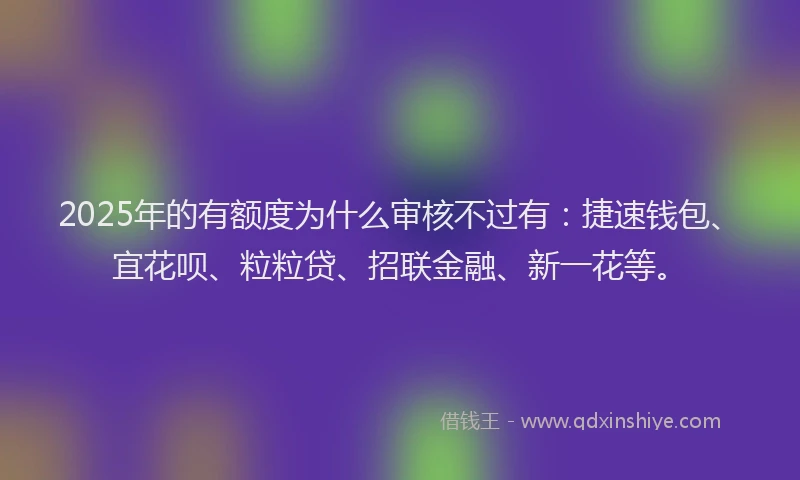 2025年的有额度为什么审核不过有：捷速钱包、宜花呗、粒粒贷、招联金融、新一花等。