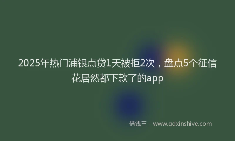 2025年热门浦银点贷1天被拒2次，盘点5个征信花居然都下款了的app