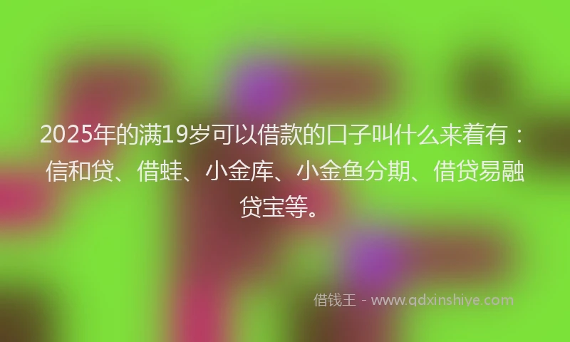 2025年的满19岁可以借款的口子叫什么来着有：信和贷、借蛙、小金库、小金鱼分期、借贷易融贷宝等。