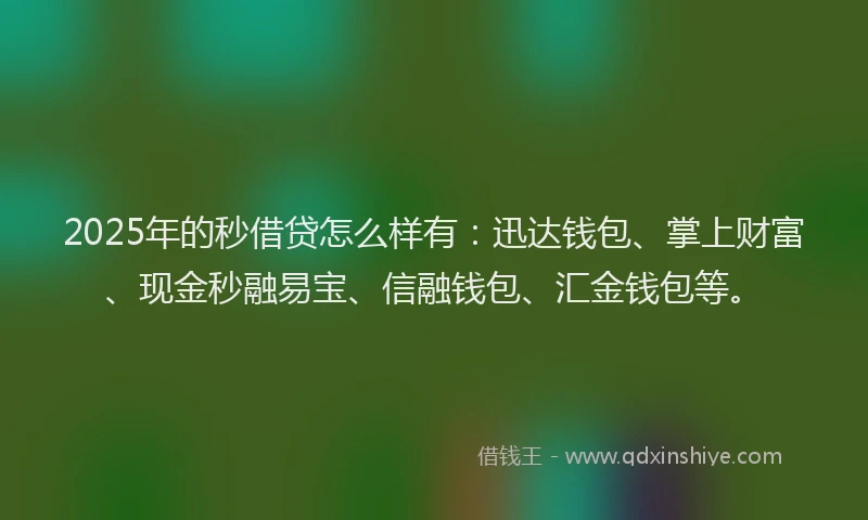 2025年的秒借贷怎么样有：迅达钱包、掌上财富、现金秒融易宝、信融钱包、汇金钱包等。