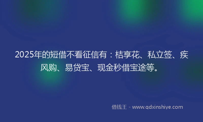 2025年的短借不看征信有：桔享花、私立签、疾风购、易贷宝、现金秒借宝途等。