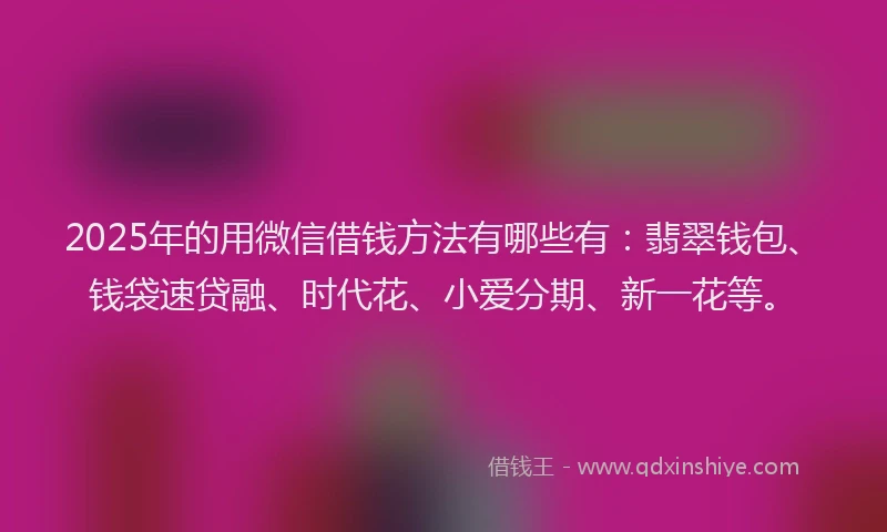 2025年的用微信借钱方法有哪些有：翡翠钱包、钱袋速贷融、时代花、小爱分期、新一花等。